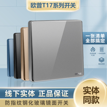 Op switch socket t17 one open strip usb five-hole tempered glass mirror blue starry gray large plate 86 panel