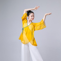 Classical dance female adult body practice clothes elegant ancient style outside the charm of the body dress fairy folk dance set