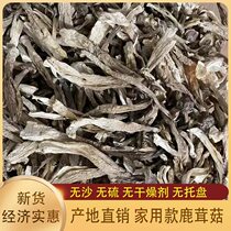 Deer antler mushroom dry goods 500gC-grade velvet mushroom sulfur-free fresh soup ingredients deer velvet mushroom crispy mushroom Xianggu