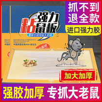  Mouse paste super strong sticky mouse board household automatic mouse stick artifact to catch big mouse glue medicine nest end