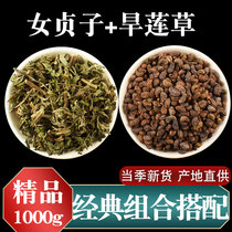 Ligustrum lucidum combination 1000 grams of ink and water herbs wild Erzhi pill raw materials for sale