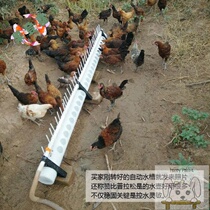 New automatic drinking water for chickens chickens ducks and geese automatic drinking water feeder sink chicken equipment and supplies