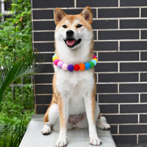 Pet Rainbow Candy Color Shiba Dog Corky Teddy Cat Dog Nets Red Collar Wool Ball Necklace Jewelry