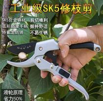 Branch shears pruning floral scissors fruit tree household tools pruning shears grape branches horticultural scissors dragon fruit