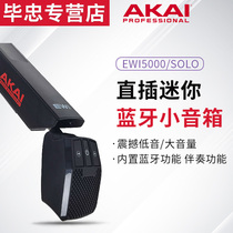Suitable for AKAI EWI5000 SOLO Roland AE10 electric blow pipe musical instrument in-line Bluetooth small speaker