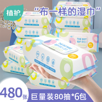 Plant baby Wet Wipes 80 hand mouth Special 6 packaging newborn baby wet tissue with lid large packaging non-Disinfection