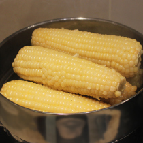 Suikang corn waxy corn vacuum lock fresh export products sticky corn cob white waxy 8