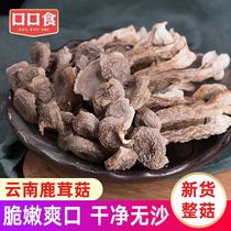 Antler Mushrooms Dry Goods Antler Bacteria Yunnan Special Produce Dried Mushrooms Fresh Fungus Soup Ladle Antler Mushrooms Mushroom Mushroom 500g