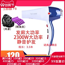 F8 high power hair dryer 2300W barber shop hair salon home professional hot and cold hair dryer negative ion