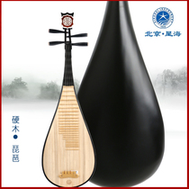 Professional hardwood pipa 8911R Beijing Xinghai Musical Instrument beginner beginner beginner exam piano factory direct sales