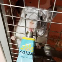 Chinchilla nutrition cream Vitamin supplement Japan imported sunflower field nutrition cream Beauty hair long fat Chinchilla special nutrition cream