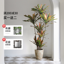 Simulation green plant fake plant interior decoration floor-to-ceiling potted large-scale bionic green plant living room fake flower simulation flower decoration