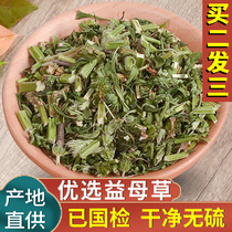 Motherwort soak water drink flower tea Brown sugar soak foot powder soak Dried tablets of Chinese herbal medicine with astragalus