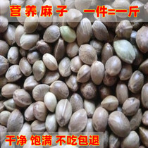 Hemp seeds small particles hemp Xuanfeng parrot pigeon special bird grain feed squirrel rat grain 1kg