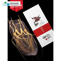 Forest ginseng old dry ginseng 15 years 20 years Changbai Mountain specialty mountain ginseng ginseng gift box DZ