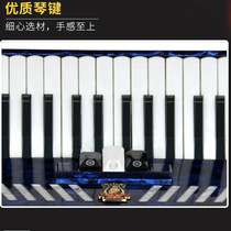 Shixiang parrot brand YW-860 accordion 26 keys 48 bass Adult children exam performance beginner introduction