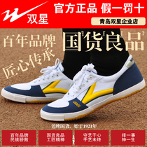 Double Star Mens Table Tennis Shoes Canvas Womens Volleyball Track and Field Children Tai Chi Wushu Practice Football Taekwondo Shoes
