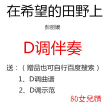 In the Field of Hope the guzheng pop song has been transferred to the D-tone accompaniment to send the score demonstration custom transfer score