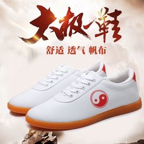 Canvas Taiji Shoes Mens Summer Taiji Shoes Womens Practice Shoes Womens Childrens Martial arts Shoes Mens Training Shoes