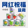 Товары от 魔豆菜园旗舰店