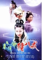 DVD machine version Chunguang Splendid Pig 8 Ring] Xu Zheng Tao Hongongongwon 38 Set 5 Dish