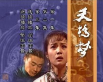 DVD machine version Tianqiao Dream Tianjiao] Criminal Min Mountain mushrooms Ping Wang Ji 30 set 4 discs