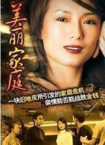 DVD Machine Edition Beautiful Family] Zheng Huibin Zheng Xiuzhen 35 sets of 4 discs