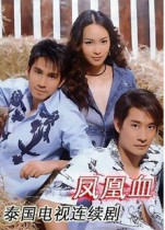 DVD machine version Thailand Phoenix Blood] Mandarin Chinese characters all 20 episodes 2 discs