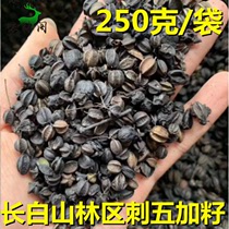 Acanthopanax seeds half a catty northeast Changbai Mountain Jilin acanthopanax fruit new grain 250g conditioning sleep