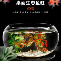 Office small fish tank transparent thickened high-definition glass turtle tank living room household desktop mini micro-view aquarium