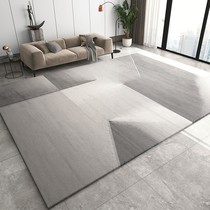 Modern minimalist sofa Sofa Tea Blanket Light Extravagant senior Living room Carpet Nordic Bedroom cushion Home Carpet Large area