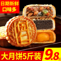 Cantonese vintage moon cake egg yolk lotus seed handmade big moon cake gift box bean paste fruit multi-flavor Mid-Autumn Festival