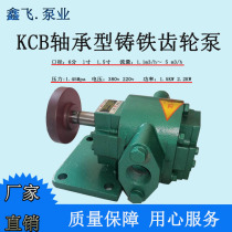 Factory direct WRHB residual oil pump external lubrication bearing wear-resistant gear pump electric horizontal heavy oil delivery pump