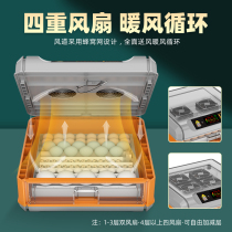 Rutin chicken incubator incubator small incubator household machine automatic intelligent parrot egg application
