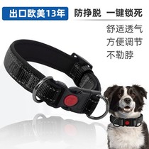 Dog collar teddy dog ring large dog collar golden hair German shepherd horse dog collar small dog collar headgear