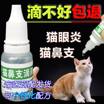  Cat ophthalmitis eye drops nose hair afraid of light cant open your eyes tear marks medicine size of the eyes sneezing tears cat nasal branch squeak