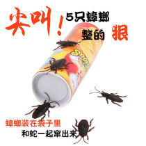 April Fools Day Friends Friend Birthday Creative Gifts Tricky Monster Whole Man Toys Potato Chips Snake