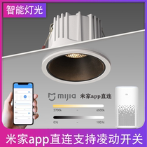 led Smart spotlight embedded ceiling lamp without main light living room ceiling narrow frame anti-glare COB millet Downlight