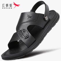 Red Dragonfly Leather Sandals Sandals Men Genuine Leather Driving Slippers Dual Purpose Deodorant Casual Beach Shoes Pure Cow Leather Soft Bottom Summer