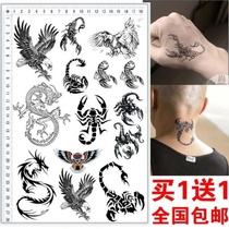  Scorpion tattoo embroidery Sticker template Small tattoo pattern template Small picture size tattoo template simulation tattoo sticker