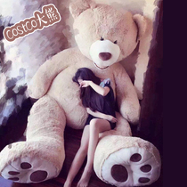 Genuine American bear costco hug bear plush toy doll girl Christmas gift