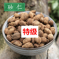 Tongrentang Nanjing 500g Amomum Chinese medicinal materials Salen Wild Amomum Amomum Amomum Amomum Amomum