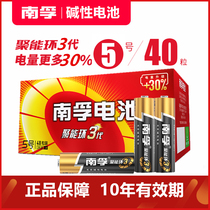 Nanfu alkaline battery No. 5 No. 7 40 1 5v toy mouse air conditioner TV remote control general model