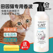 Cat shower gel idyllic cat orange cat special shampoo degermicidal removal of flea young cat lice Bath Bath Bath