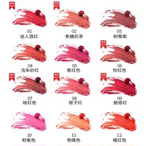 Lip liner waterproof mouth lip liner lasting non-fading lip pen 12 American Sida wood powder boxed lipstick outline pen