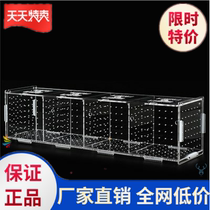 Turtle aquarium Medium fish tank protection hook sucker delivery room Small hatch mini tropical fish juveniles fry