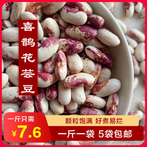 New Beans Northeast Specialty Magpie Flower Kidney Beans 500g Large Rice Beans Cagrin Soup Red White Kidney Beans Grain Beans