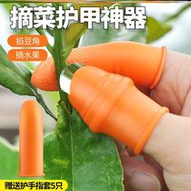 Pick pepper artifact Nail thumb knife gloves Pick vegetable picker Shuguo fruit farming mulberry leaf household big mother and son