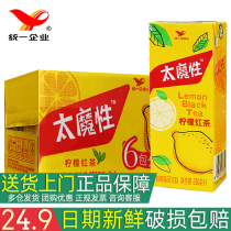 Unified magic lemon black Tea 250ml*24 boxes Iced black tea drink Lemon black tea multi-province