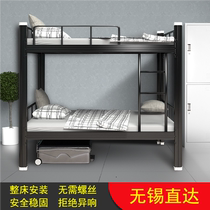 Tin-free upper bunk bed Iron Frame Bed Double Dorm Bed Low Bed School Apartment Double Bed Staff High And Low Iron Frame Subbed